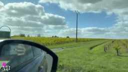 Onlyfans - Anna Divina